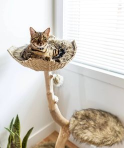 Mau Style Uni Cat Tree